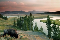 From Yosemite to Serengeti: Discover the Top Must-Visit National Parks