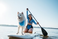 Pet-Friendly Travel: Guidelines and Tips for a Fun and Safe Adventure